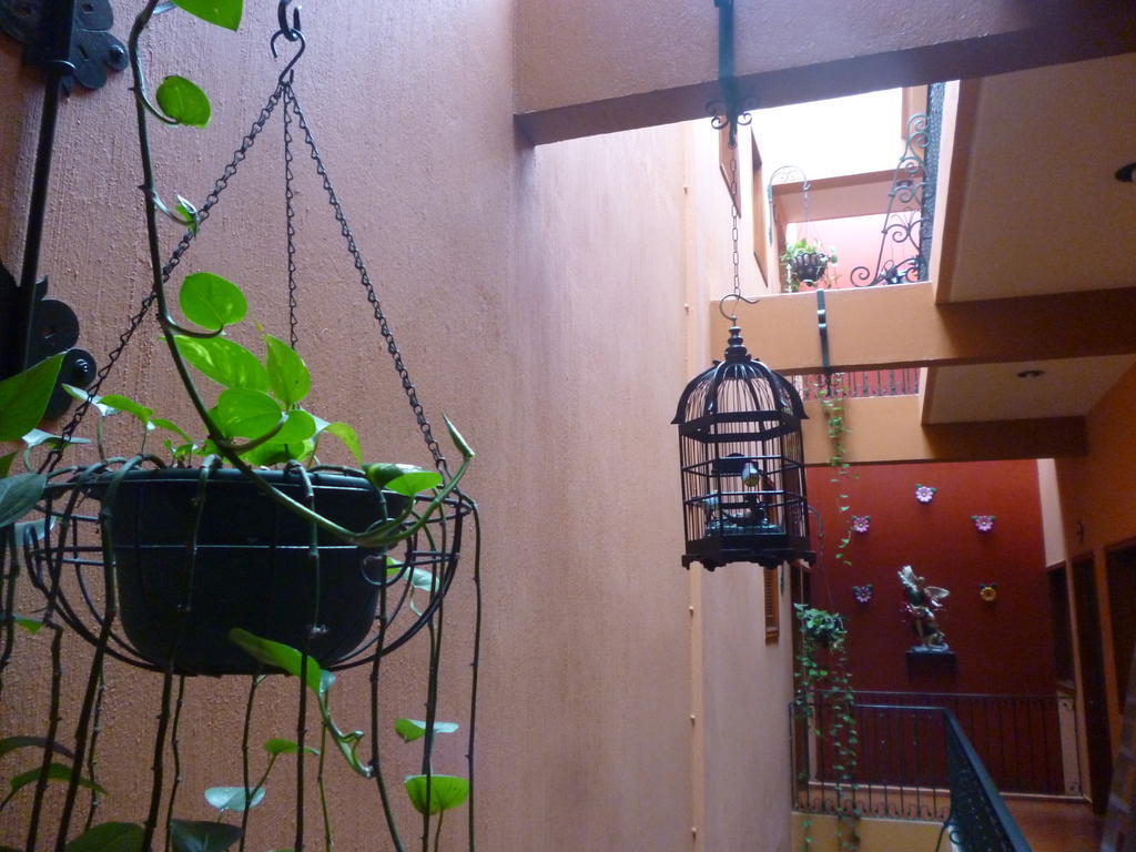 Hotel Boutique Parador San Miguel Oaxaca Eksteriør billede